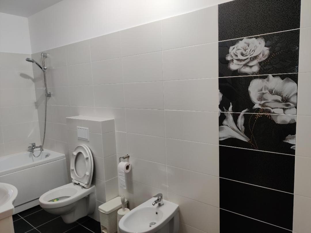Corressy Studio Brasov Bagian luar foto